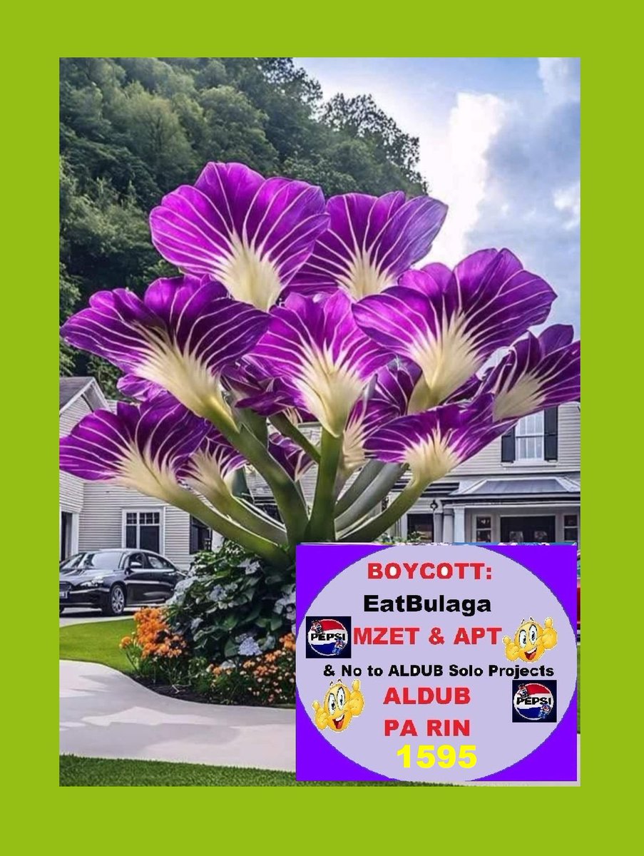 TB - NAG BUBUNYI  NOON ANG PHIL SHOWBIZ MAFIA  BAGO E PALABAS ANG KASAL NG BAKLANG ARJOKLA AT ANG PEKENG MAINE (PATUNG ULO GANG SILA TATLONG KASAL ANG PINATUNGAN NG MGA IDIOT) , SABI NILA THIS IS IT! BUWAG NA ANG KINAIINISAN NA FANDOM😁ANG TVJ, ALL OUT ANG PAG PROMOTE, MGA WALANG