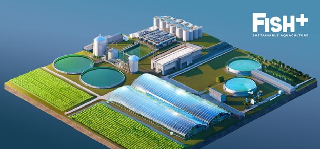 SoyResearchInfo's tweet image. What if the U.S. produced more fish and seafood? The Soy Aquaculture Alliance and @UnitedSoy funded #SoyResearch envisioning a fully integrated system to profitably produce sustainable fish in the U.S., boosting soybean demand. bit.ly/3TQIUWH