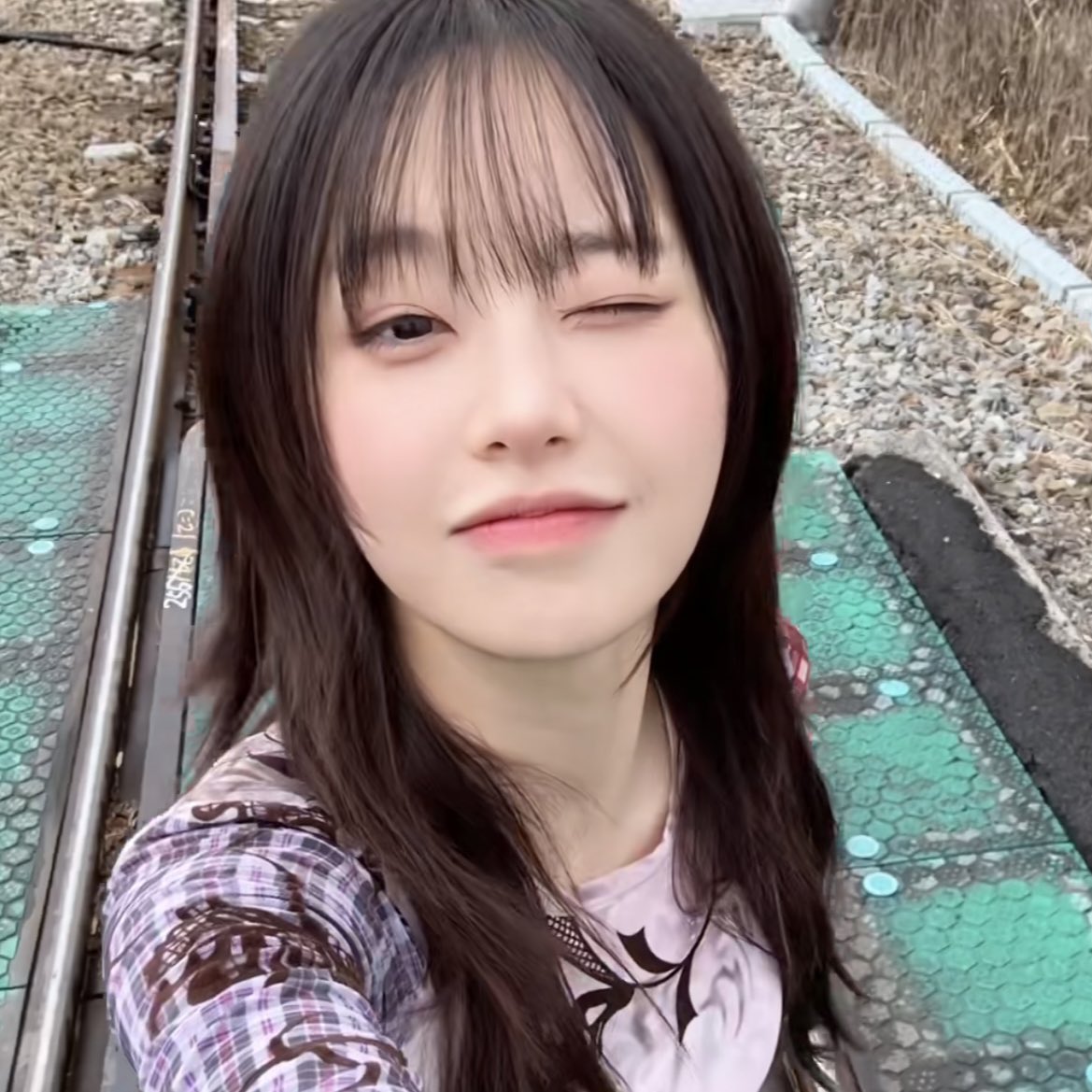 🐧 (@chuupicbot) on Twitter photo 