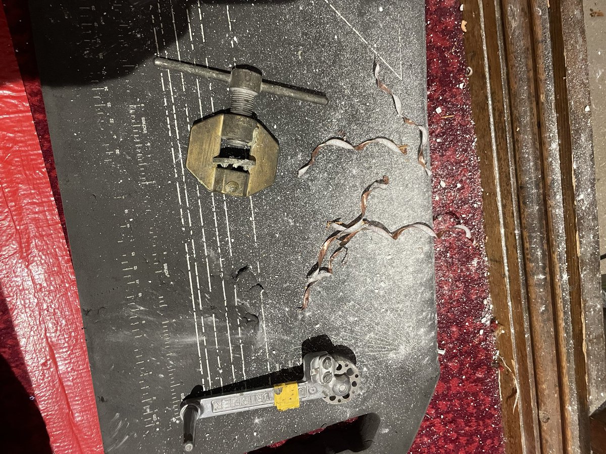 What have I been up to today?