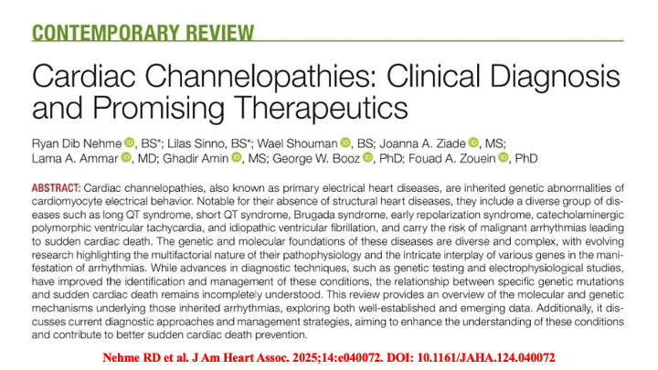 Raviele Antonio (@drraviele) on Twitter photo 📌 Most common cardiac #channelopathies
👉 An overview
#EPeeps #WomeninEP #CardioTwitter #MedTwitter #SportsCardiology #SCD #ECG #Review <a href="/ZHeart11768530/">The Heart</a> <a href="/shivkumarmd/">Kalyanam Shivkumar MD PhD</a> <a href="/adribaran/">Adrian Baranchuk MD FACC FRCPC FCCS FSIAC</a> <a href="/ManlioMarquez/">Manlio Márquez Murillo</a> <a href="/DrJasonAndrade/">Jason Andrade</a> <a href="/DhirajGuptaBHRS/">Prof Dhiraj Gupta</a> <a href="/SSharmacardio/">Sanjay Sharma</a> <a href="/MJAckermanMDPhD/">Michael J. Ackerman MD,PhD</a> <a href="/SeguraCardio/">Diego Segura-Rodríguez</a> <a href="/Hragy/">Hany Ragy</a> 📌 Most common cardiac #channelopathies
👉 An overview
#EPeeps #WomeninEP #CardioTwitter #MedTwitter #SportsCardiology #SCD #ECG #Review <a href="/ZHeart11768530/">The Heart</a> <a href="/shivkumarmd/">Kalyanam Shivkumar MD PhD</a> <a href="/adribaran/">Adrian Baranchuk MD FACC FRCPC FCCS FSIAC</a> <a href="/ManlioMarquez/">Manlio Márquez Murillo</a> <a href="/DrJasonAndrade/">Jason Andrade</a> <a href="/DhirajGuptaBHRS/">Prof Dhiraj Gupta</a> <a href="/SSharmacardio/">Sanjay Sharma</a> <a href="/MJAckermanMDPhD/">Michael J. Ackerman MD,PhD</a> <a href="/SeguraCardio/">Diego Segura-Rodríguez</a> <a href="/Hragy/">Hany Ragy</a>