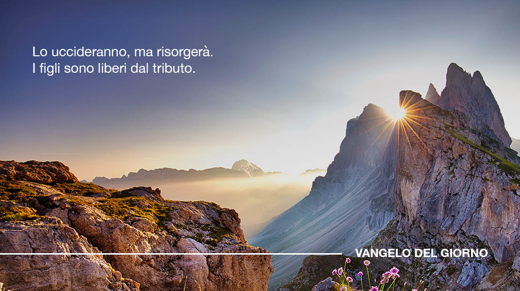 Vangelo del giorno 11 Agosto 2025. effata.altervista.org/vangelo.php?da…