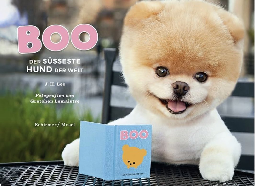 #Boo
Now go back to SOL.

CA
E7apaVeuaRo9xWGo3Hy6tWWJnAo2YEwrdPndpLGmbonk
