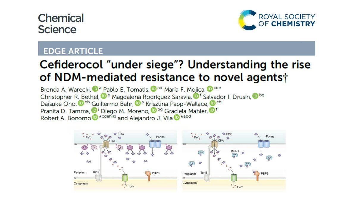 IBR_CONICET's tweet image. 🚨 New paper out in @ChemicalScience!
The @lab_vila study shows NDM enzymes—major resistance drivers—can break down Cefiderocol, once thought safe from them. Findings call for caution and new combo strategies. Congrats to the team!
Read more about this 👉doi.org/10.1039/D5SC02…