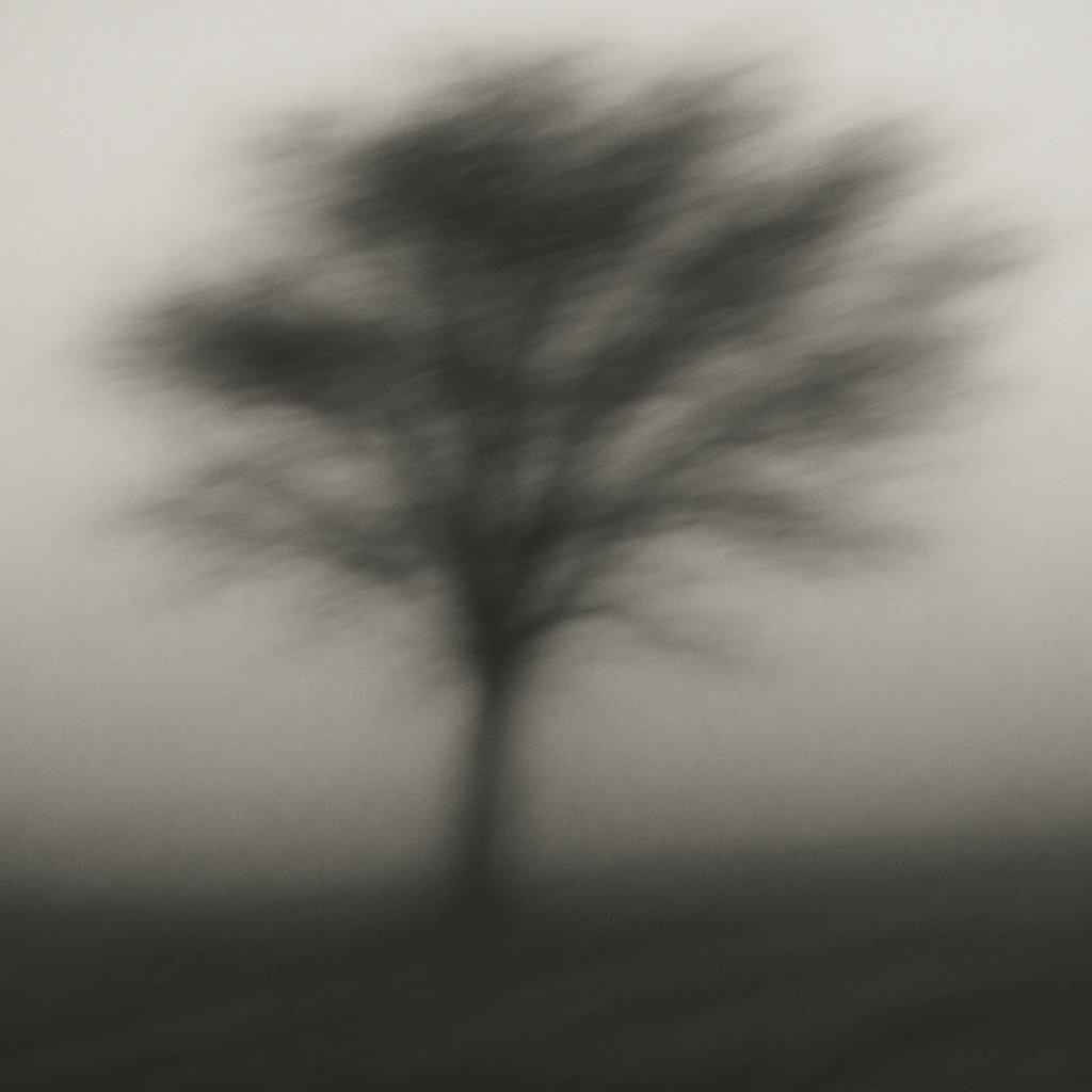 BrtnoMullerlyer's tweet image. Silenzio steso—
una foglia non cade,
eppure è vento.
Resto con le foglie che non fanno rumore, con il cielo che non risponde, con l’acqua che non chiede.
Nel silenzio, finalmente intero.