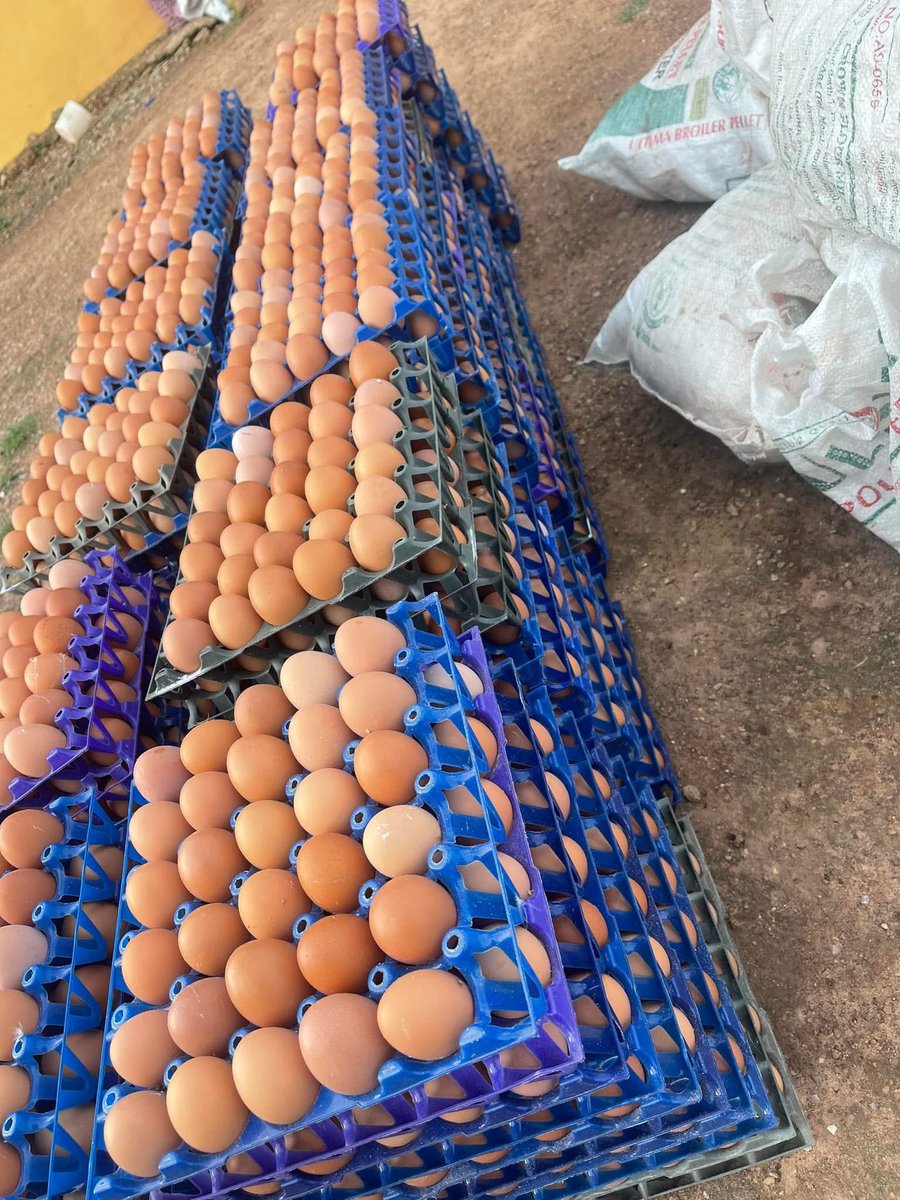 JustAgriic's tweet photo. Lagos way https://t.co/NPF48LiO7G