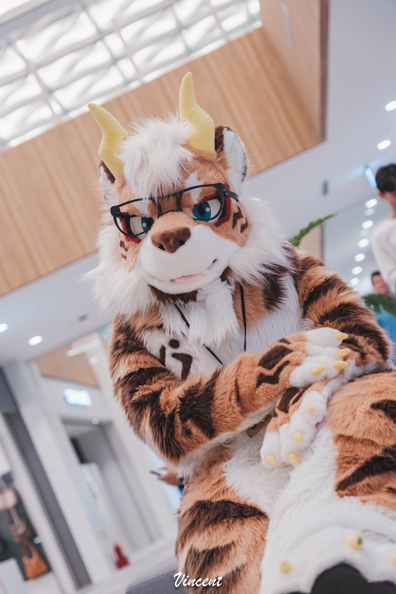 雷默LeiMo tweet media