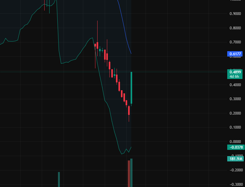 stock trader morgan vanderbilt tweet media