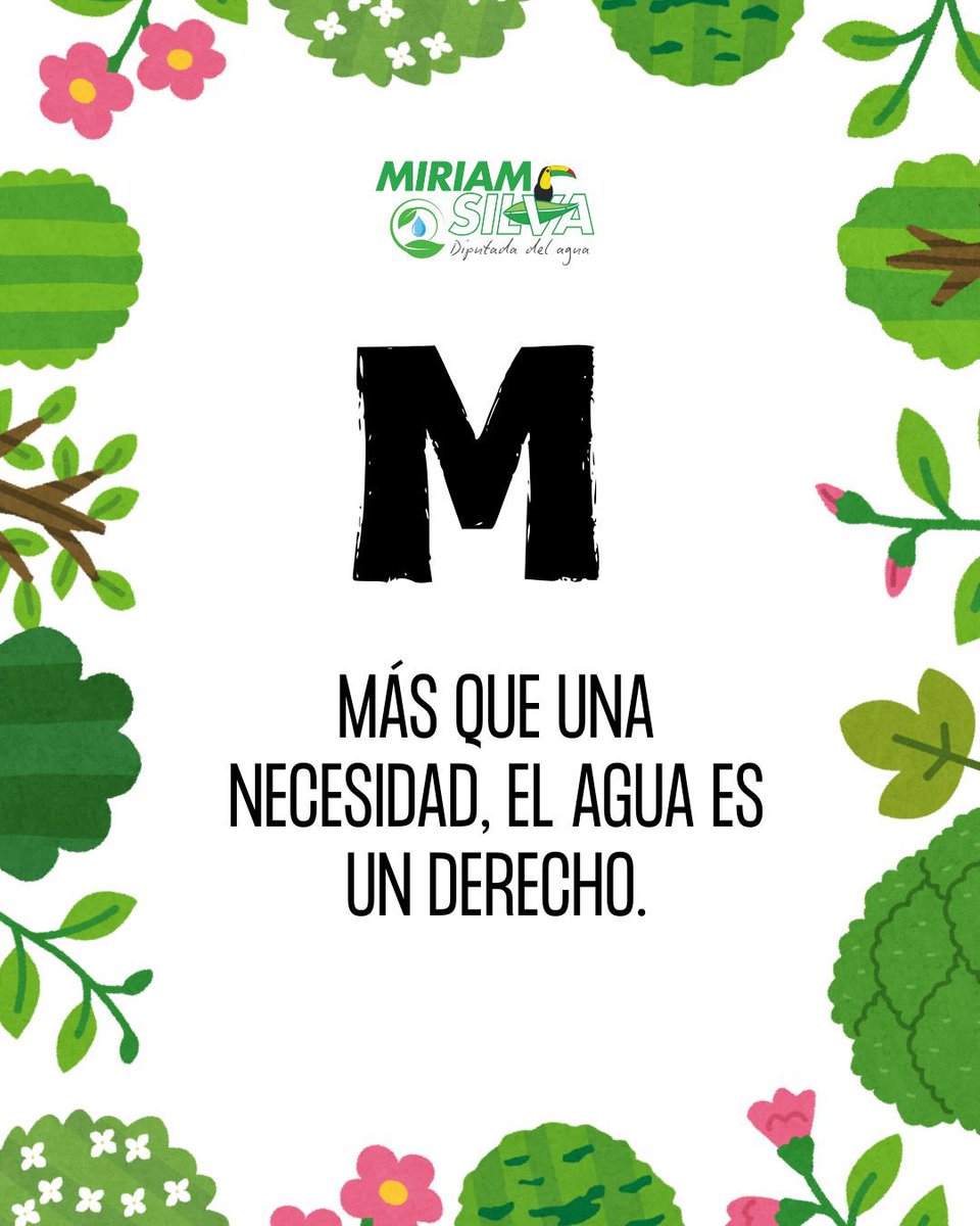 El acceso al agua debe ser garantizado, no condicionado.
🌿 En Ecatepec, exigimos políticas hídricas que respondan a la realidad de las colonias.

#MiriamSilva #DiputadaDelAgua #PVEM #Ecatepec