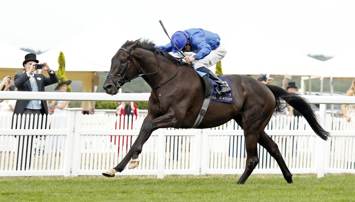 godolphin's tweet image. 🇬🇧🇦🇪 It's almost King George Day @Ascot and #TeamGodolphin superstar Rebel's Romance is all set to run!🤩
Shop his cap ahead of the race on Saturday on the EU/UAE online shop!
shop.godolphin.com | #ShopGodolphin | #OnecolourOneteam | #WearTheBlue