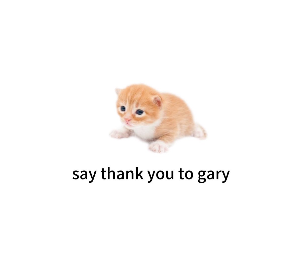 Jaci_xyz's tweet image. this phrase and this cat will be apart of internet history forever
early 🐈