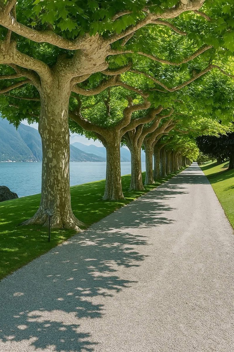 Limitless energy;

"The limits of my language mean the limits of my world:”——-

Ludwig Wittgenstein

#Wordsofwisdom #languageproficiency