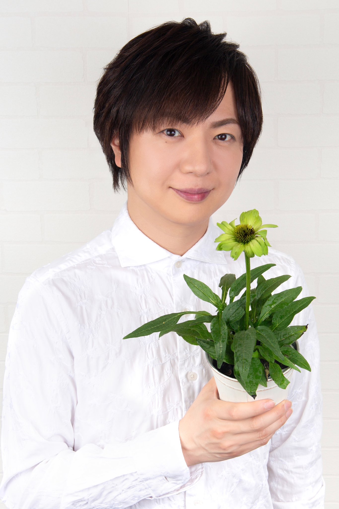 Posts with replies by 悦子 (@etsuko4555) / X