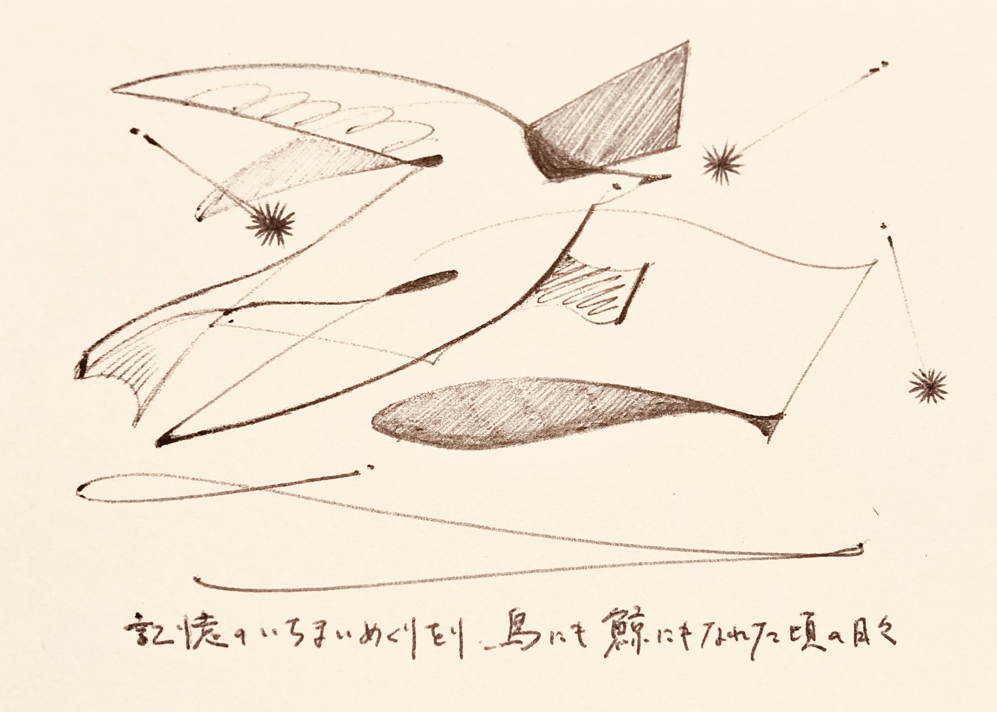 ドローイング・イラスト参考書12冊セット 81rXKxpwbTL._UF350,350_QL50_.jpg