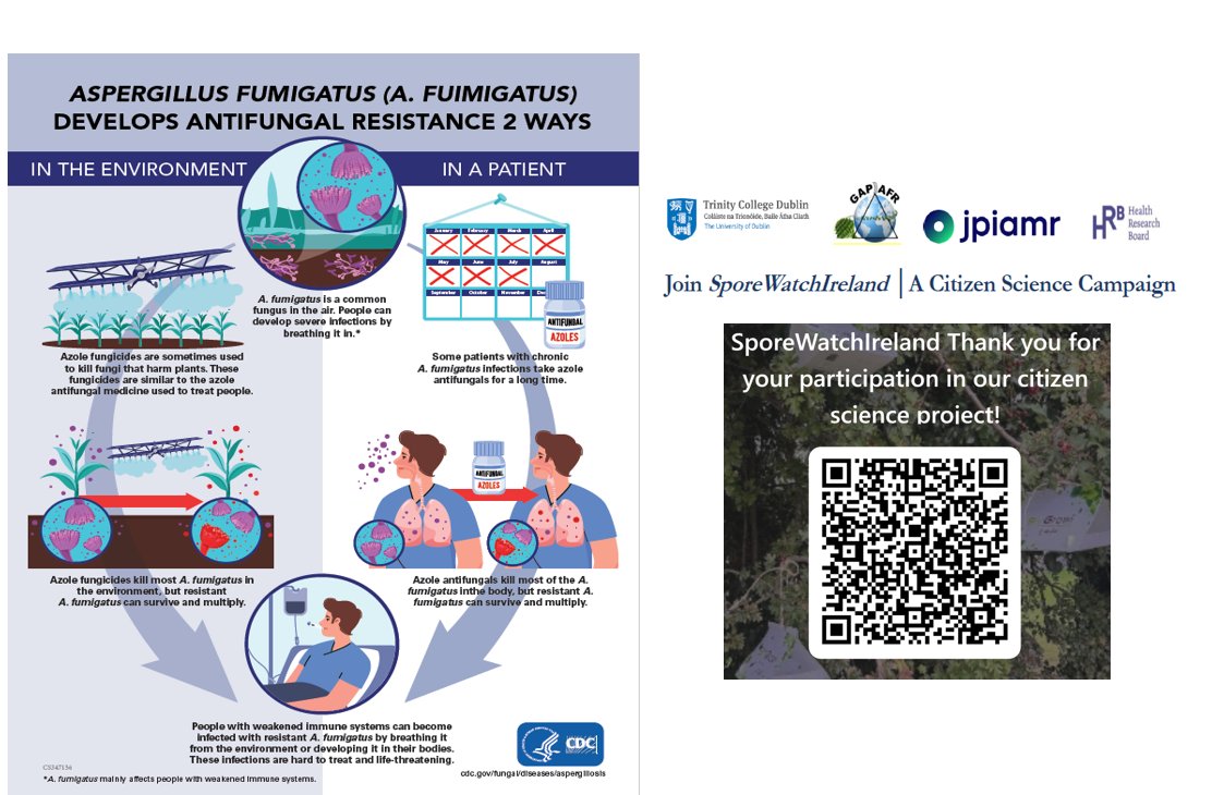 SporeWatchIreland tweet media