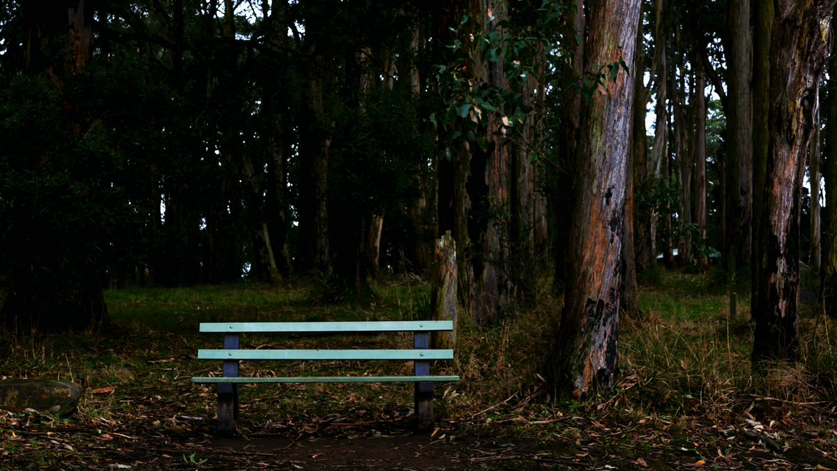 "There’s something about a lonely bench—silent, weathered, and waiting. It holds space for passing thoughts, quiet moments, and stories untold, offering rest to those who need it without asking why."

GN and I hope to see you tomorrow in space ♥️✨🌙