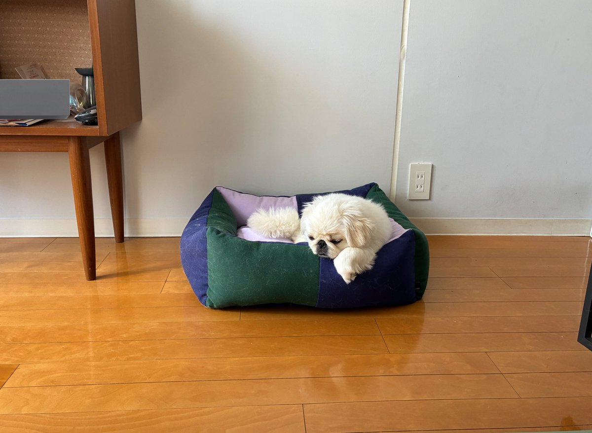 good_bye's tweet image. 