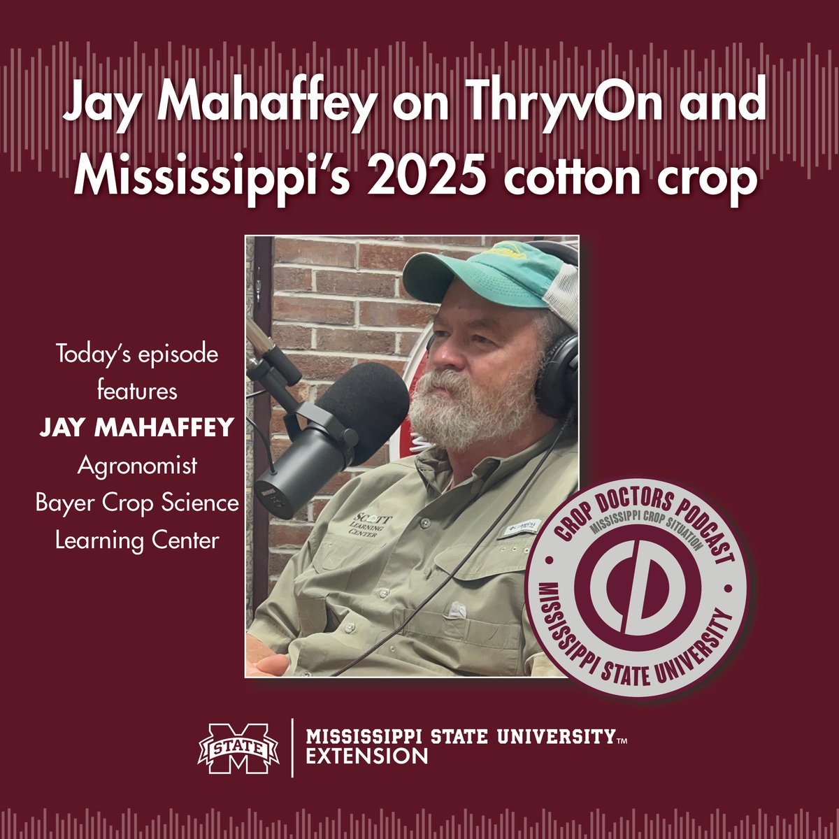 CropdoctorsMs's tweet image. Jay Mahaffey, renowned agronomist and manager of the Bayer Crop Science Learning Center in Scott, Mississippi, shares insights on how the season has shaped up so far.
For more episodes, visit our website at extension.msstate.edu/shows/mississi…
#mscrops #MSUext