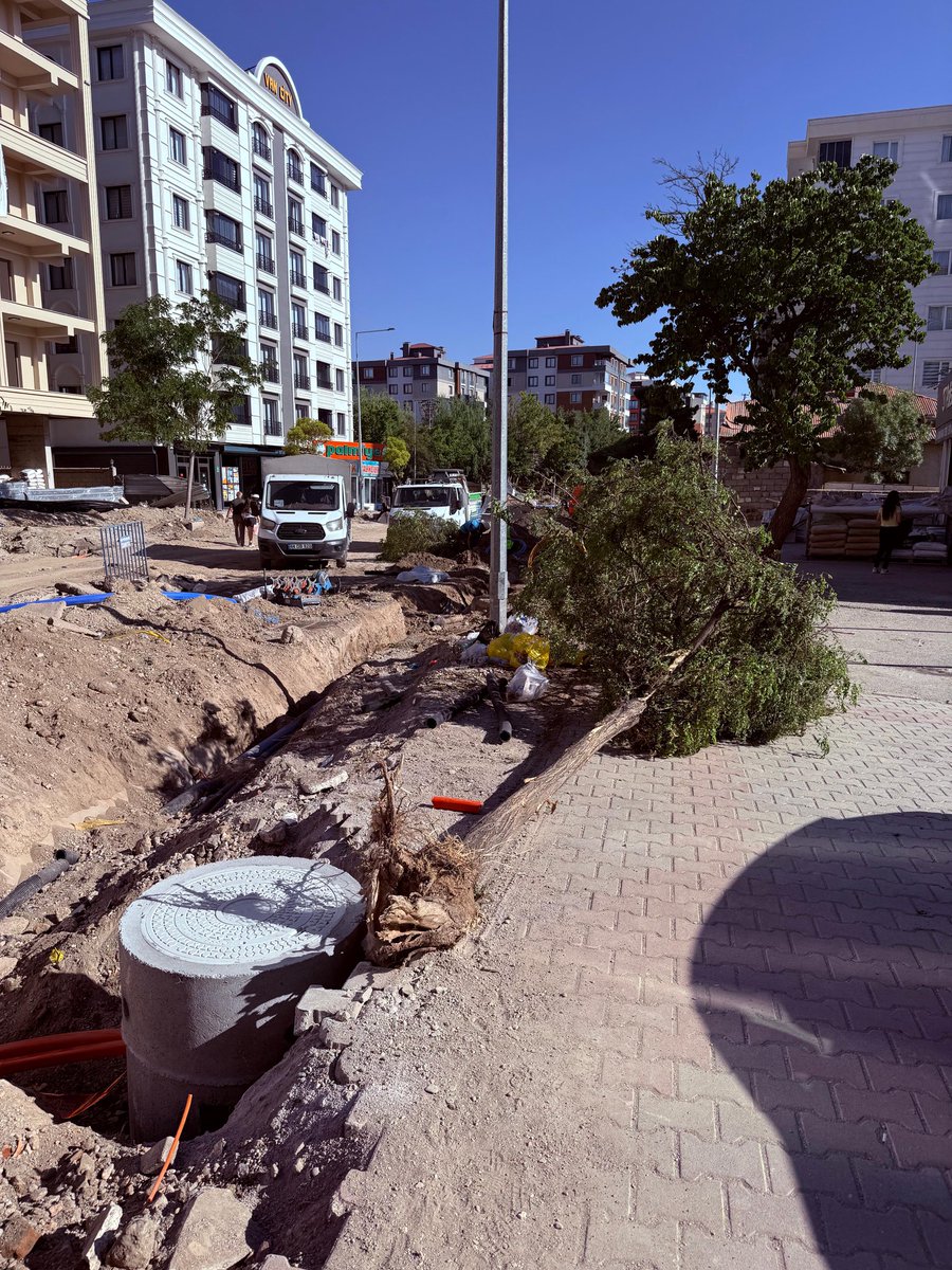 Van Barosu Çevre ve Ekoloji Komisyonu (@vanbarosucevre) on Twitter photo Eski Cezaevi Caddesi’ndeki yol çalışmalarında ağaçların sökülmesi, taşınması ve akıbeti ile ilgili kuruma bilgi edinme kapsamında başvuru yapılmış, durum ivedilik arz ettiği için muhtemel zararın ve sorumlularının tespiti için Komisyonumuzca suç duyurusunda bulunulmuştur.<a href="/VanBaro/">Van Barosu - Baroya Wanê - Van Bar Association</a> Eski Cezaevi Caddesi’ndeki yol çalışmalarında ağaçların sökülmesi, taşınması ve akıbeti ile ilgili kuruma bilgi edinme kapsamında başvuru yapılmış, durum ivedilik arz ettiği için muhtemel zararın ve sorumlularının tespiti için Komisyonumuzca suç duyurusunda bulunulmuştur.<a href="/VanBaro/">Van Barosu - Baroya Wanê - Van Bar Association</a>