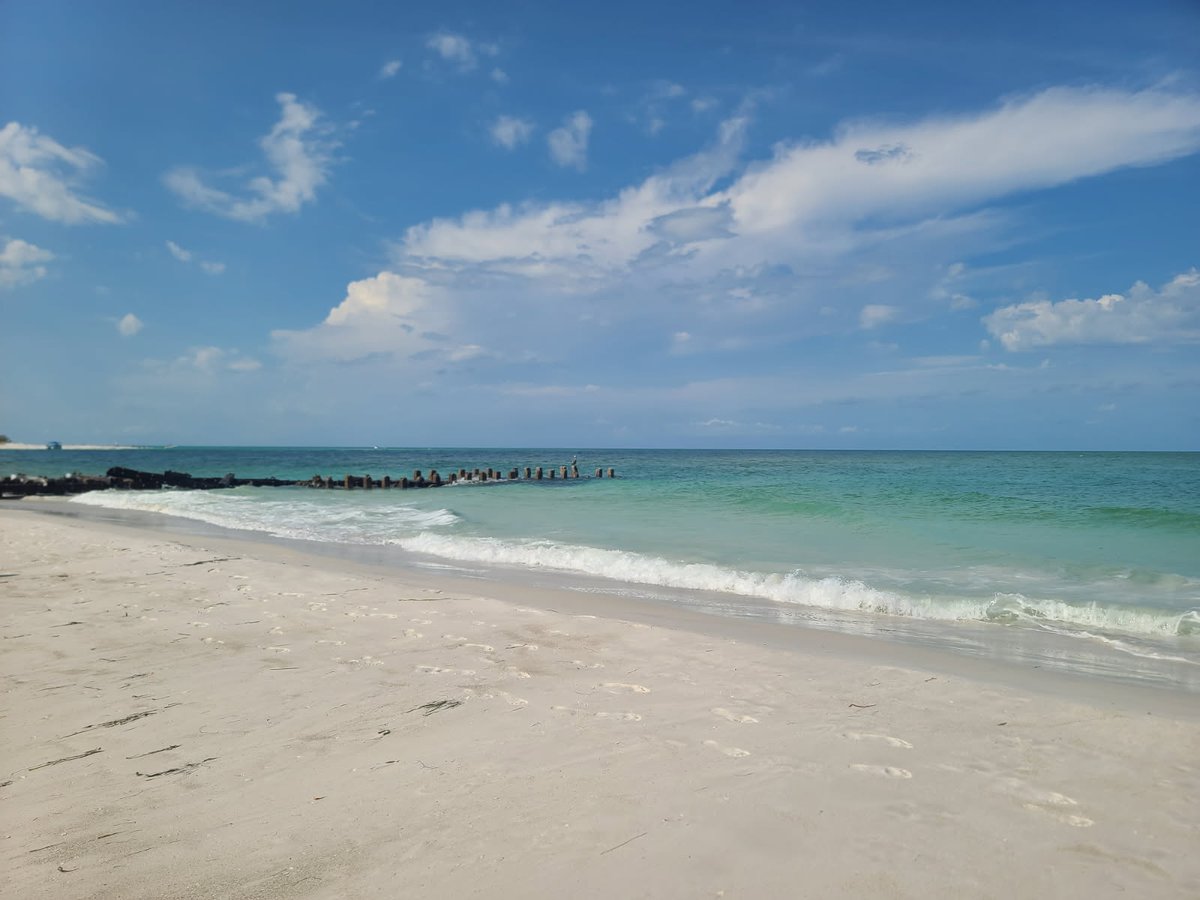 BeachFrmFL's tweet image. Just another day in paradise. #Florida #LongBoatKey