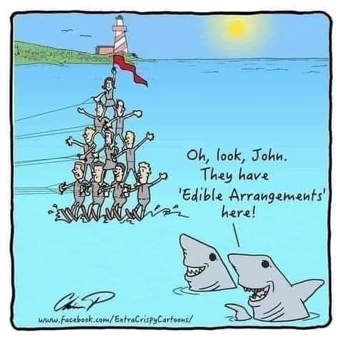 pampoodlejr's tweet image. hehehe 🦈