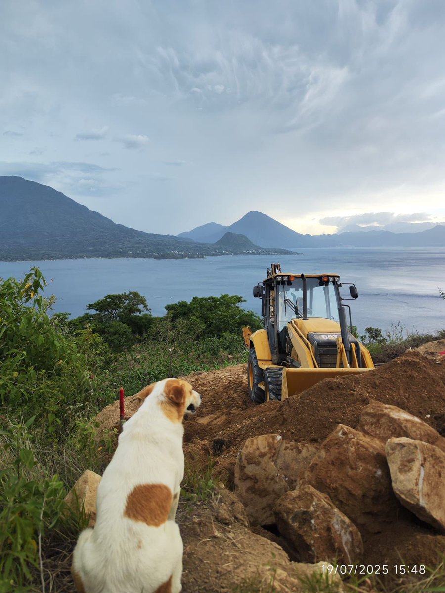 En el Día Internacional del Perro, uno ve la vista del Lago de Atitlán en la urbanización Vistas de Tzanimul. 🐶