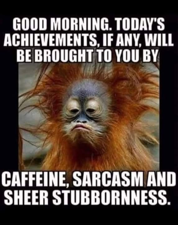 In ten days I will celebrate another anniversary of my naked arrival into this world. 
I will have made many successful circumnavigations of the sun!  

I have my sites set on 10k by the end of the month? Can we do it?