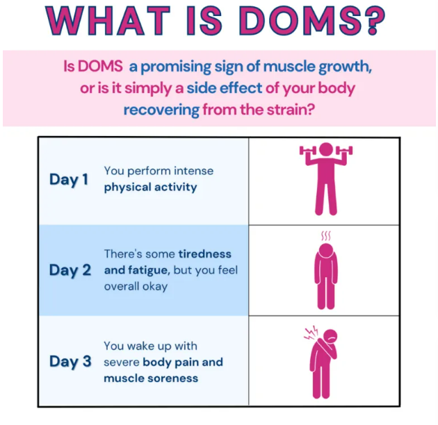 KristenJakobitz's tweet image. Myth: &quot;If you&apos;re not sore after a workout, it wasn&apos;t effective.&quot; 

Reality: Muscle soreness (DOMS) is not a reliable indicator of workout effectiveness or muscle growth. Progressive overload and consistent training are far more important metrics. 

#FitnessMyth #WorkoutTips