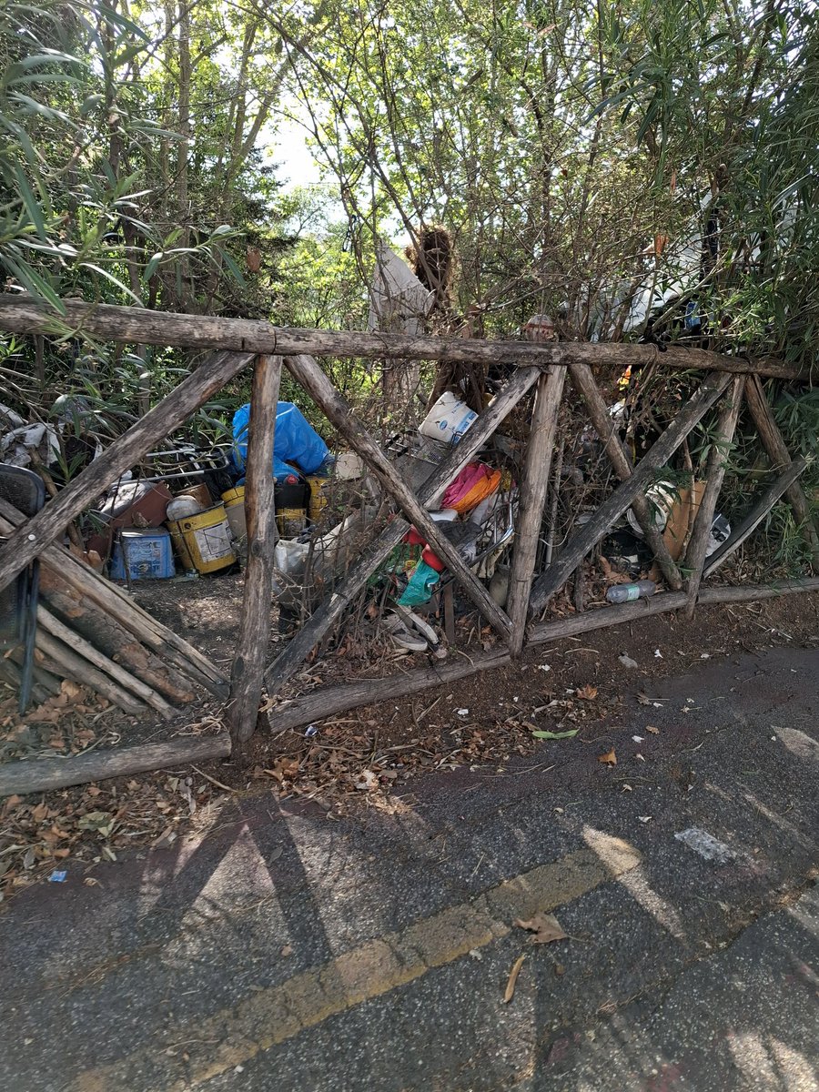 Segnalatore Seriale (@antincivili) on Twitter photo <a href="/gualtierieurope/">Roberto Gualtieri</a> <a href="/Roma/">Roma</a> Ecco cosa c'era stamattina pochi metri sopra il parco d'affaccio e nel vicino Lungotevere Fellini! <a href="/Lavoratori_Ama/">Lavoratori_Ama</a> <a href="/giuliana_63/">giuliana63🚴🌍🇮🇪🗽🃏</a> <a href="/Sabrinalfonsi/">Sabrina Alfonsi</a> <a href="/GiammarcoPalmie/">Giammarco Palmieri</a> <a href="/romanoesaurito/">Alzatore di tergicristalli</a> <a href="/gualtierieurope/">Roberto Gualtieri</a> <a href="/Roma/">Roma</a> Ecco cosa c'era stamattina pochi metri sopra il parco d'affaccio e nel vicino Lungotevere Fellini! <a href="/Lavoratori_Ama/">Lavoratori_Ama</a> <a href="/giuliana_63/">giuliana63🚴🌍🇮🇪🗽🃏</a> <a href="/Sabrinalfonsi/">Sabrina Alfonsi</a> <a href="/GiammarcoPalmie/">Giammarco Palmieri</a> <a href="/romanoesaurito/">Alzatore di tergicristalli</a>