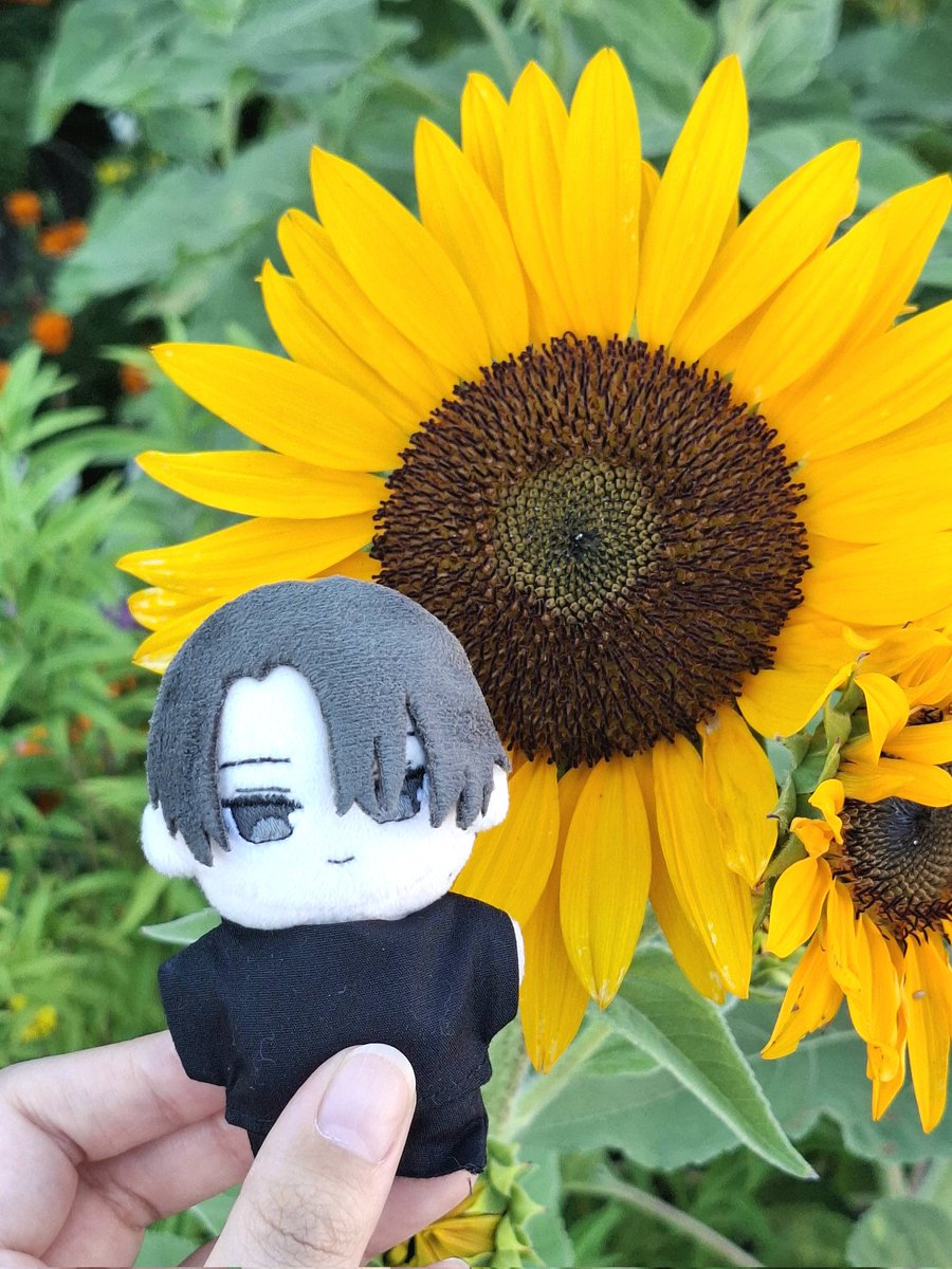 ちいさめひまわり🌻