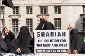 IsraMum's tweet image. So British girls are abducted and raped by dozens by PAkistani men.
Druze are being massacred by hundreds.
Nigerian Christians and Afghans in Iran die in their thousands.
One million Kurds survive the summer without water , courtesy of Erdogan.
BUT. 26 "civilized" countries have…