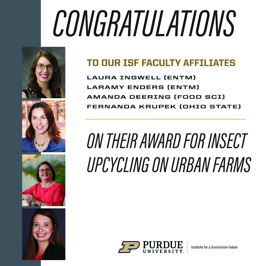 PurdueISF's tweet image. Congratulations to #ISF faculty affiliates Laura Ingwell, Laramy Enders, Amanda Deering, Fernanda Krupek on receiving funding from North Central SARE! @PurdueInsects @PurdueFoodSci