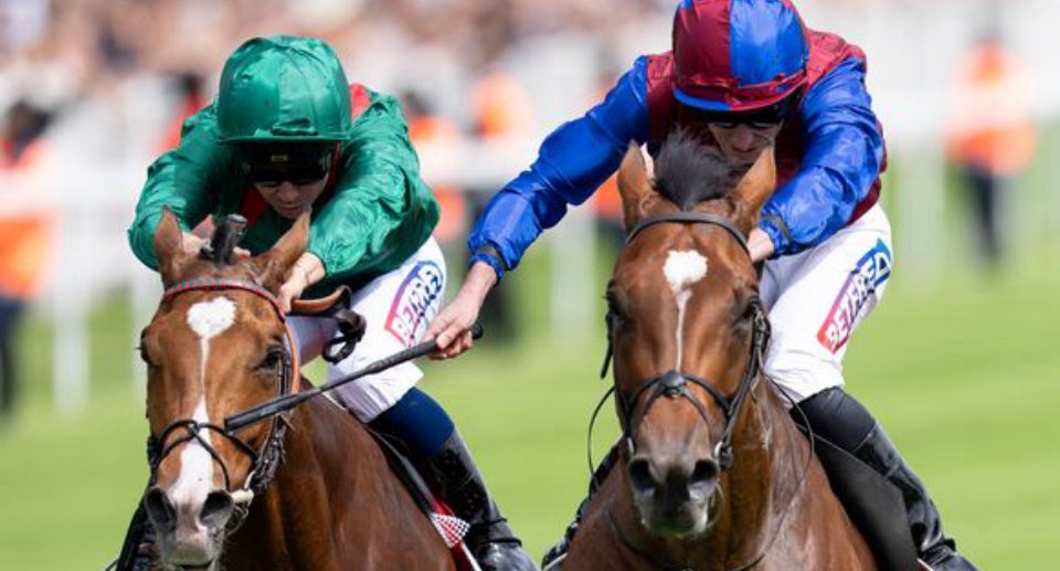 INDICATIONRTIPS's tweet image. Jan Brueghel and Calandagan
remain on course for a Coronation Cup rematch after both were left in contention for Saturday’s
King George VI and Queen Elizabeth Stakes at Ascot (4.10).