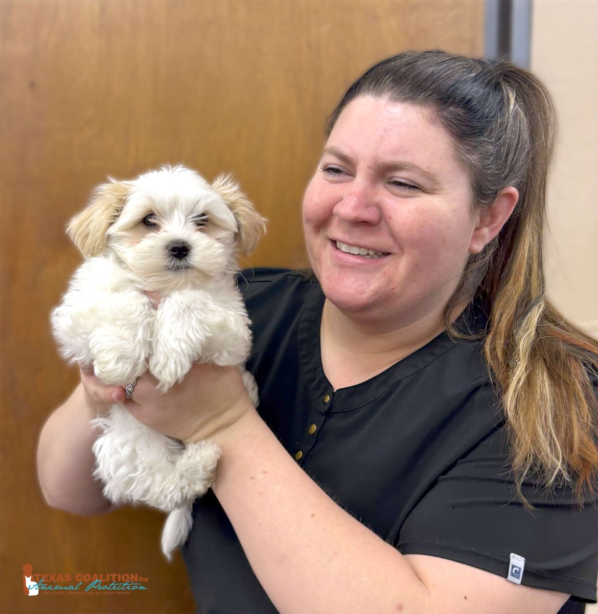 TCforAP's tweet image. New puppy? Visit us at TCAP, where you can fully vaccinate, microchip, &amp;amp; receive a pet gift for your puppy for only $85 with our Puppy Vaccine Wellness Package!🐶

#TexasForThem #NeuterIsCuter #TCAPSpayNeuter #DFWSpayNeuter #LowCostPetCareDFW #DallasPetWellness