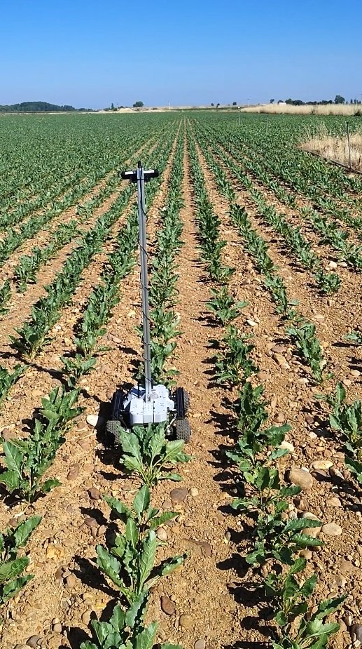La semana pasada también estuvimos por #BercianosDelParamo haciendo pruebas y grabando datos en campos de remolacha.
