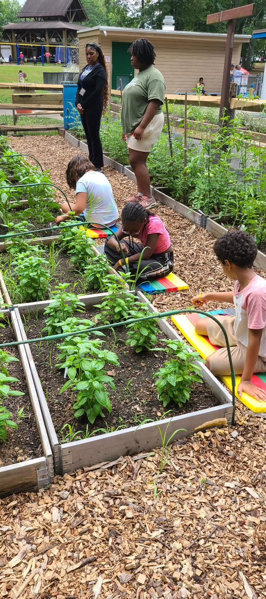 summerlearning's tweet image. We visited Camp Courant, the nation’s oldest free summer day camp! Hartford youth have been learning & growing here for 130+ years!
#50in50 #SummerMatters #KeepKidsLearning