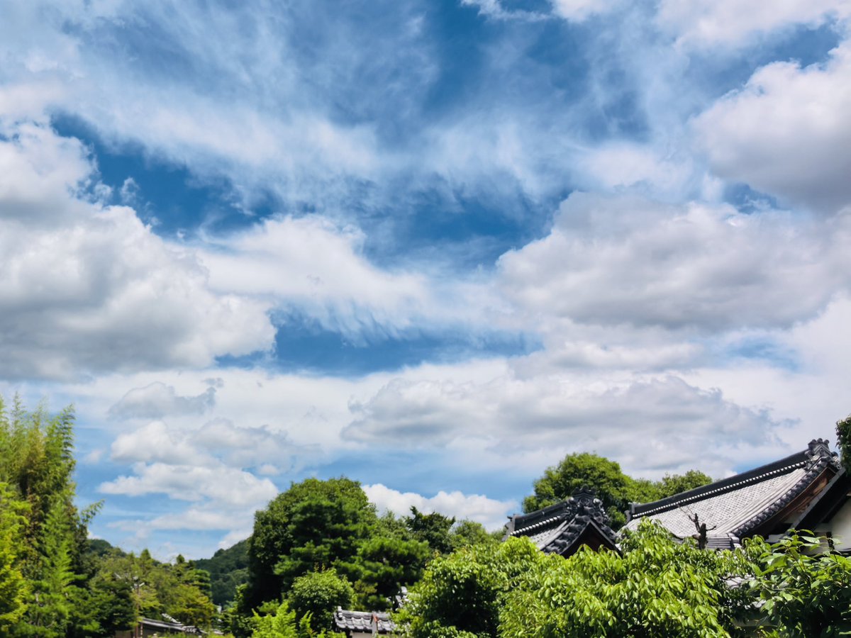 C2822080411's tweet image. hot summer
