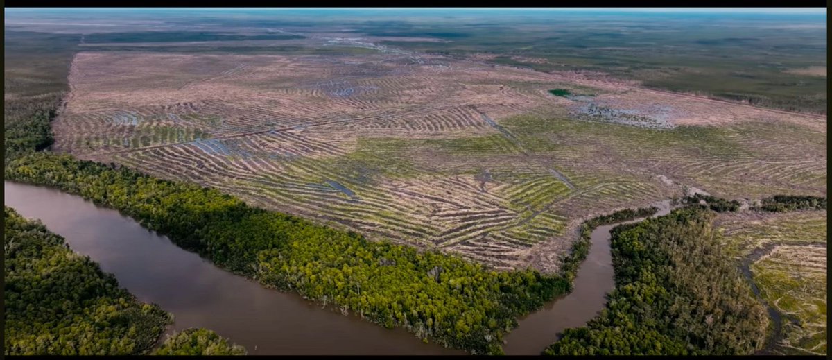 Benny Wenda (@bennywenda) on Twitter photo Thank you to the <a href="/geckoproj/">The Gecko Project (BlueSky: @thegeckoproject.org)</a> for this important and powerful film. Indonesia and foreign corporations are criminal, destroying our land for profit. The climate movement has a choice: accept the destruction of the planet or support a Free West Papua.
youtube.com/watch?v=3Todsp… Thank you to the <a href="/geckoproj/">The Gecko Project (BlueSky: @thegeckoproject.org)</a> for this important and powerful film. Indonesia and foreign corporations are criminal, destroying our land for profit. The climate movement has a choice: accept the destruction of the planet or support a Free West Papua.
youtube.com/watch?v=3Todsp…