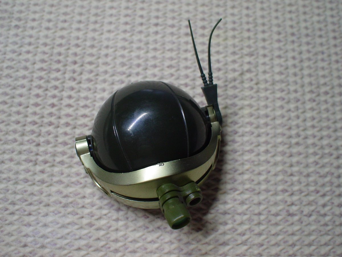 さっき何気なく視界に入ったこれを見て、思わずヒイイ！って叫んでしまった後、殺虫剤片手に恐る恐るめくって見た後、むせる