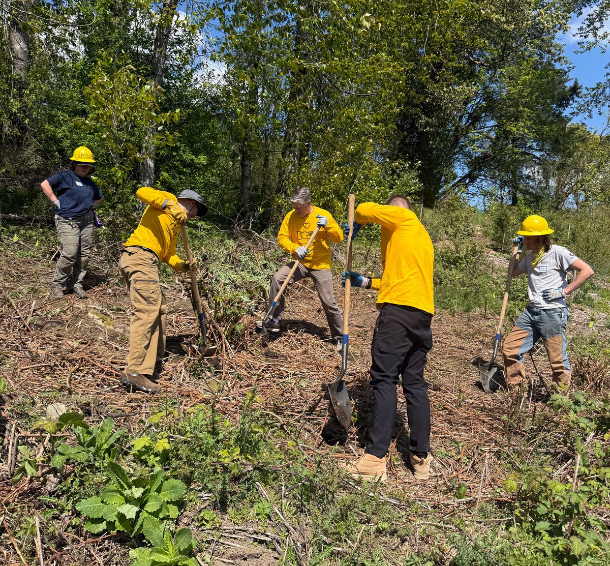 KestraMedical's tweet image. Recently, our Environmental & Philanthropy Committees partnered with Green Kirkland for a forest restoration event.
Kestra volunteers gave back to the planet while advancing our commitment to Environmental, Social, and Governance (ESG) principles.