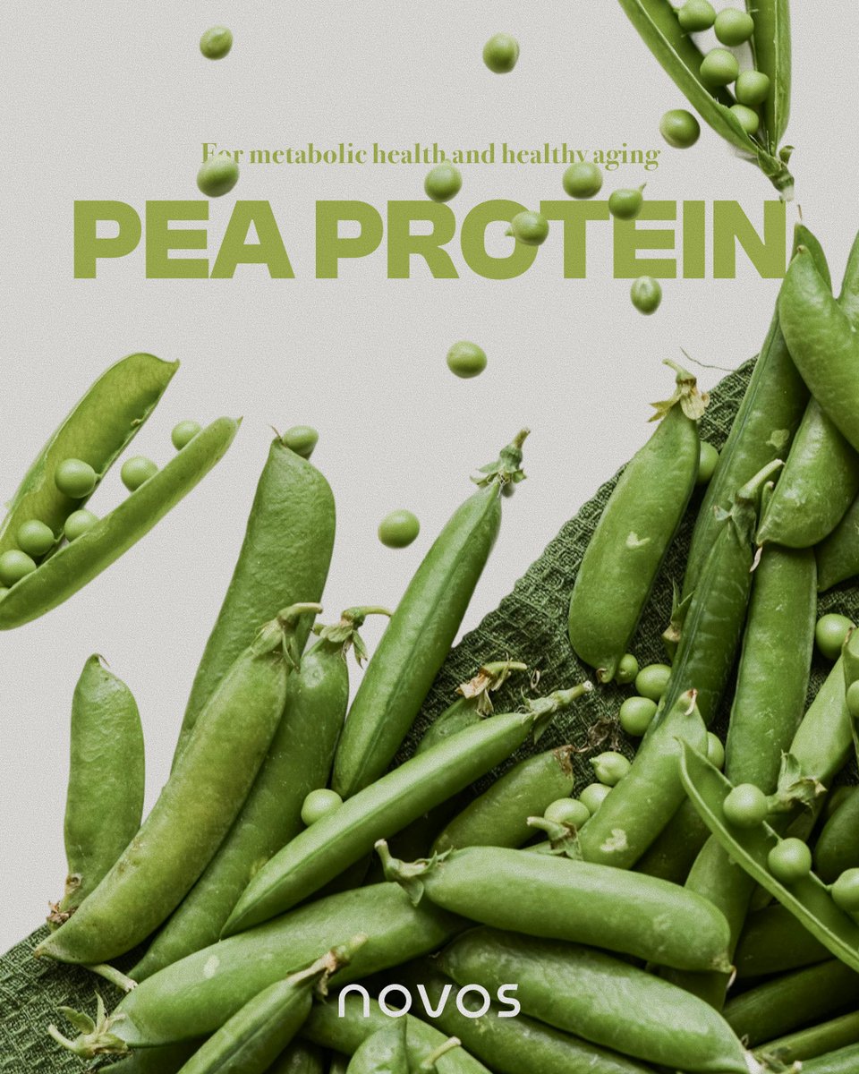 Pea protein is a complete, easily digestible source of essential amino acids that supports muscle repair, satiety, and metabolic health. It promotes sustained energy, blood sugar balance, and overall wellness.