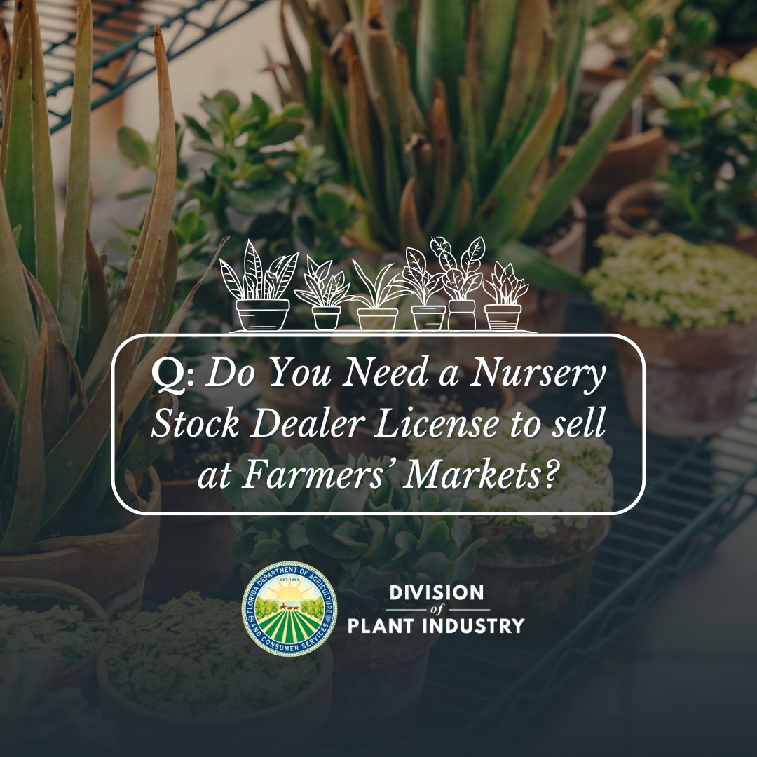 ❓ Can you sell plants at farmers' markets without registering as a nursery stock dealer?

If you are a 🪴 vendor at pop-ups, plant sales and other temporary events, Florida law requires that you must register with FDACS. 

🌐 Visit our page for more info: bit.ly/DPINurseryStoc…