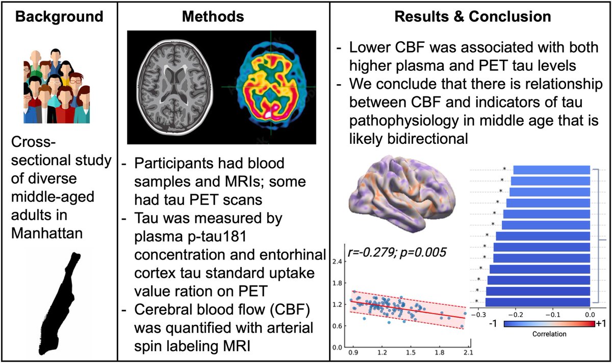 braincomms's tweet image. Houck et al. report ower cerebral blood flow associated with higher plasma phosphorylated tau 181 concentrations and increased EC tau PET uptake in middle-aged adults, suggesting bidirectionality between cerebrovascular function and tau pathology. Read at buff.ly/mja1dHr