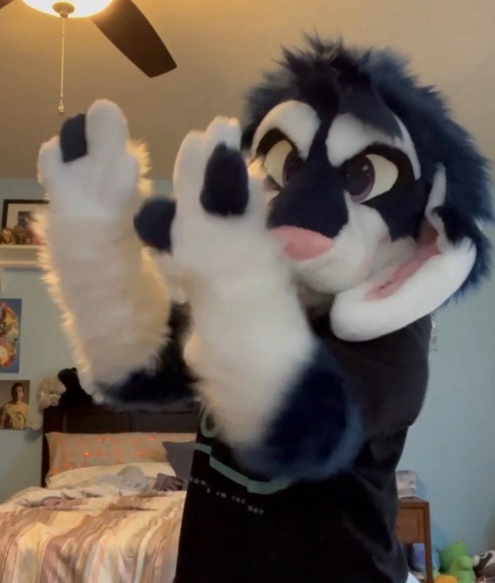 taking preliminary interest in my lop bunny partial Harvey. comes with head, tail, two sets of handpaws, arm sleeves, couple digital pieces and character rights. 

i would accept any offer over $1k! 
#fursuitforsale