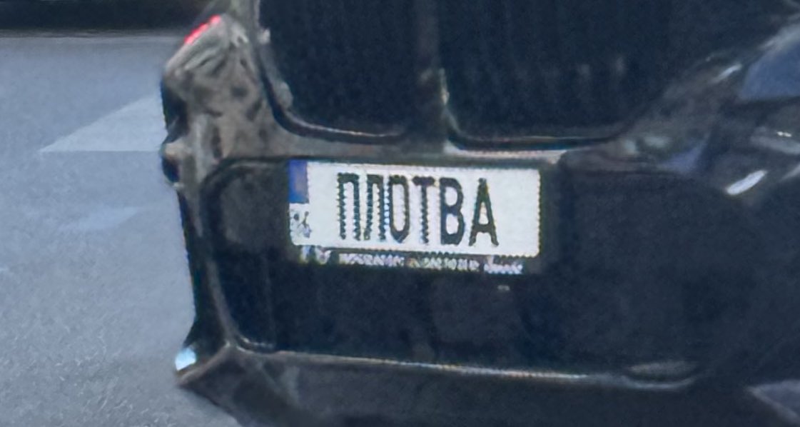 Other_ti_pidor's tweet image. Той твіт про плотву