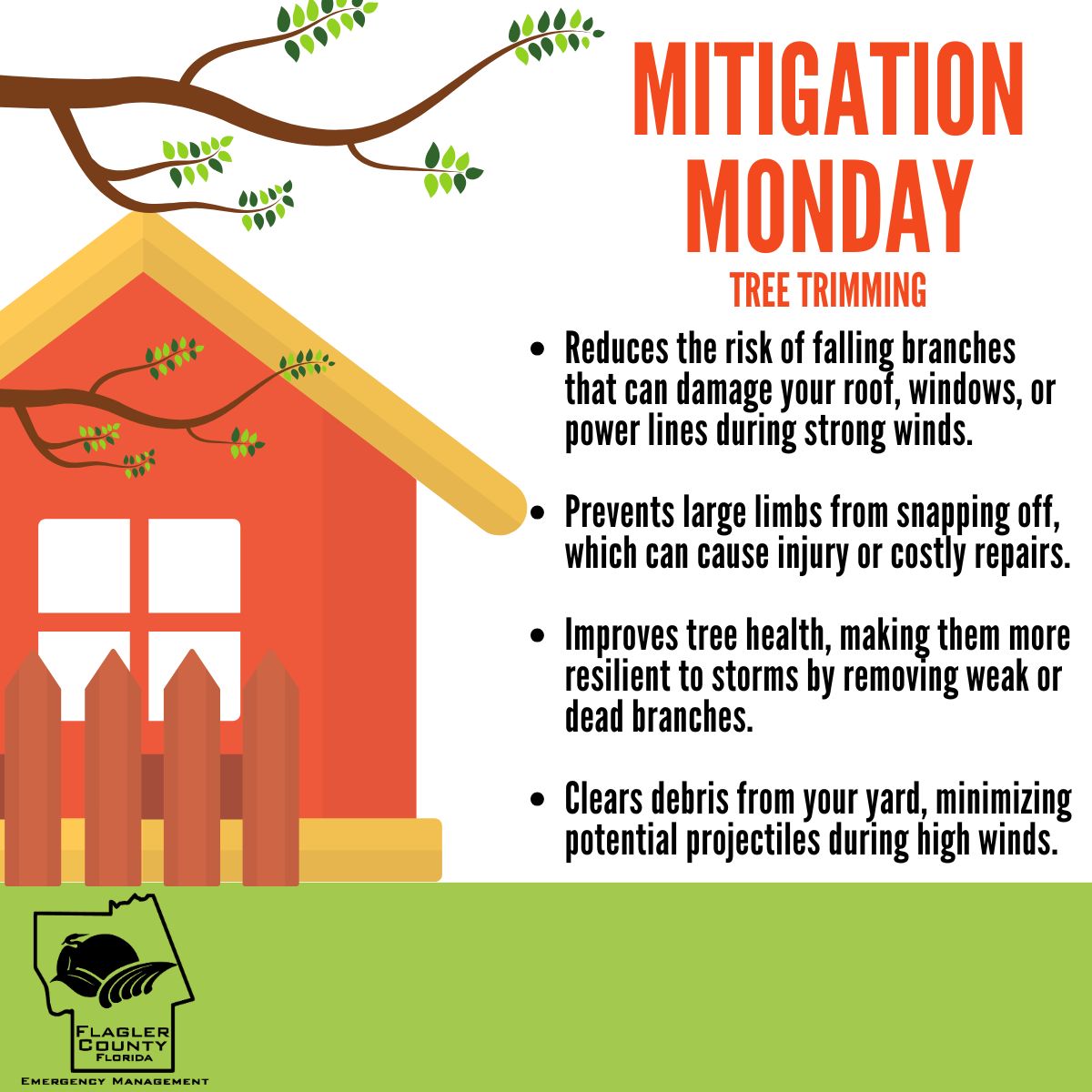 FlaglerEOC's tweet image. Mitigation Monday ๐ณ
Tree trimming helps protect your home before storms by:
๐ฌ๏ธ Reducing falling branches
๐ฅ Preventing limbs from breaking off
๐ฟ Strengthening tree health
๐ Clearing yard debris
Stay safe and prepared! ๐ช๐ #MitigationMonday #StormReady #TreeCare