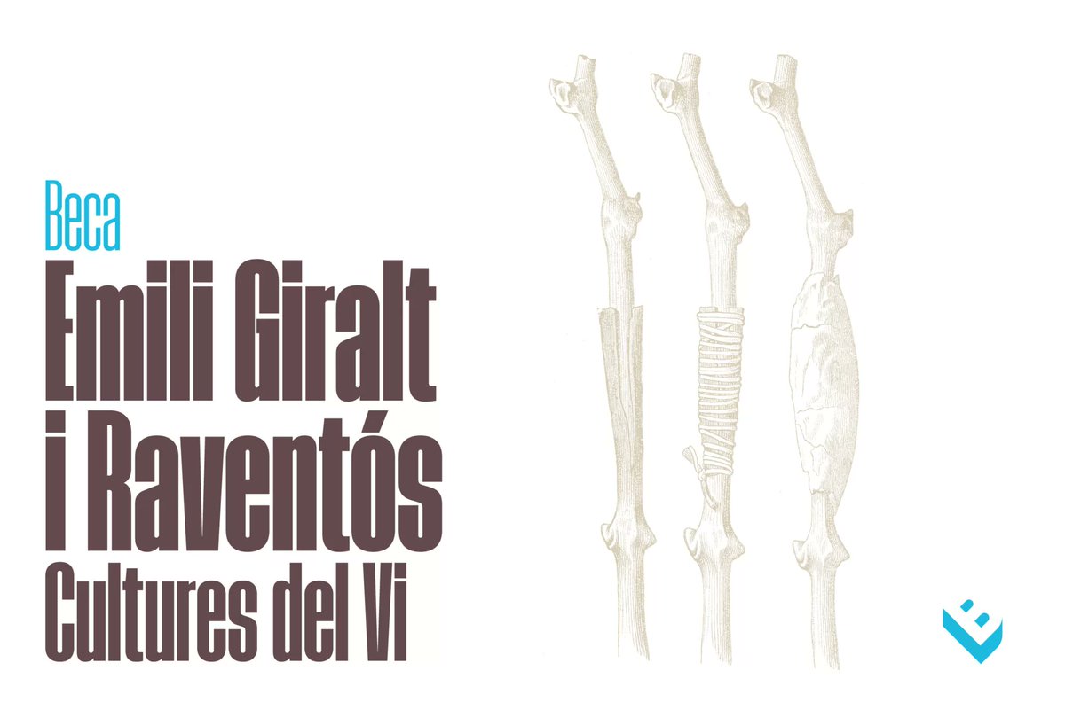 🔖 Ja hem obert la convocatòria de la Beca Emili Giralt 2025

🍇Una inciativa que vol promoure la investigació sobre el cultiu de la vinya i l’elaboració del vi i del cava, des de la perspectiva de les ciències socials i humanes.

vinseum.cat/premi-o-beca/b…

#VINSEUM