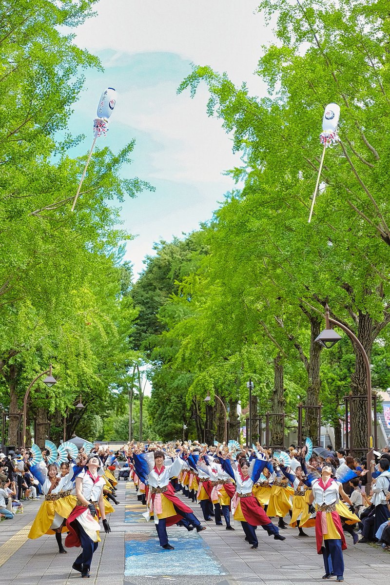 So_e_0510's tweet photo. 7/19,20光が丘よさこい 纏お披露目

今年も光が丘よさこいにて彩の輪纏をお披露目させて頂きました。いつも前向きで頼りになる3人と作った纏が彩の輪という演舞に新たな彩りを与えるアクセントになってたら嬉しい限りです。追いかけた2人を越せたかな

リラさん今年も素敵な写真ありがとうございます！ https://t.co/zxEvIuk8LK