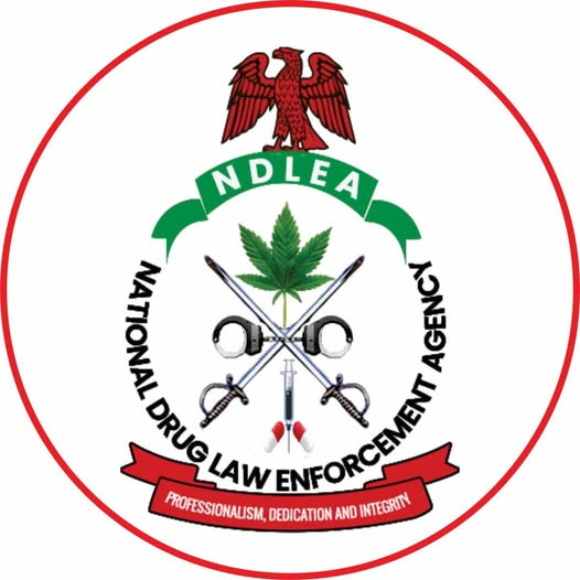 thediggernews's tweet image. Check out this article: NDLEA storms five states, nabs 15 in drug crackdown - thediggernews.com/2025/07/21/ndl… 

#NDLEA #DrugCrackdown #Nigeria #AntiNarcotics #DrugBust #NigeriaSecurity #PublicHealth #DrugTrafficking #FemiBabafemi