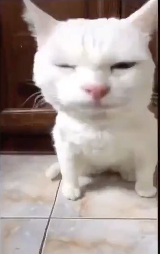 김칮으 tweet media